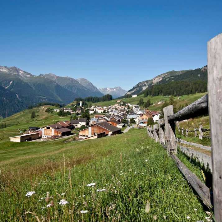 Excursions image